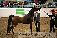 usn07_03911 proof