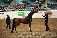 usn07_03912 proof