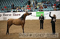 usn07_03921 proof