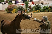 usn07_03924 proof