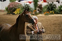 usn07_03925 proof