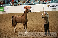 usn07_03927 proof