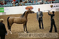 usn07_03932 proof