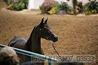usn07_03933 proof
