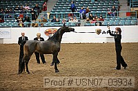 usn07_03934 proof