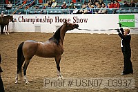 usn07_03937 proof