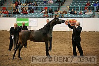 usn07_03940 proof