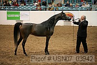 usn07_03942 proof