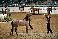 usn07_03943 proof