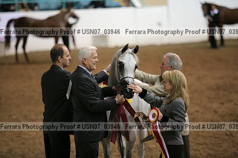 Proof usn07_03946