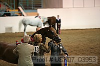usn07_03953 proof