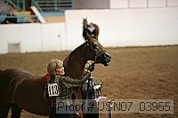 usn07_03955 proof