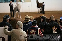 usn07_03958 proof
