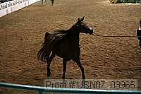 usn07_03965 proof
