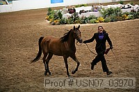 usn07_03970 proof