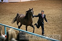 usn07_05325 proof