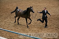 usn07_05329 proof
