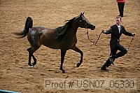 usn07_05330 proof