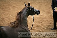usn07_05333 proof