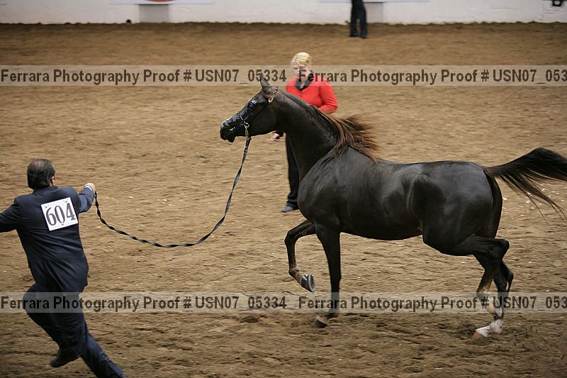 Proof usn07_05334