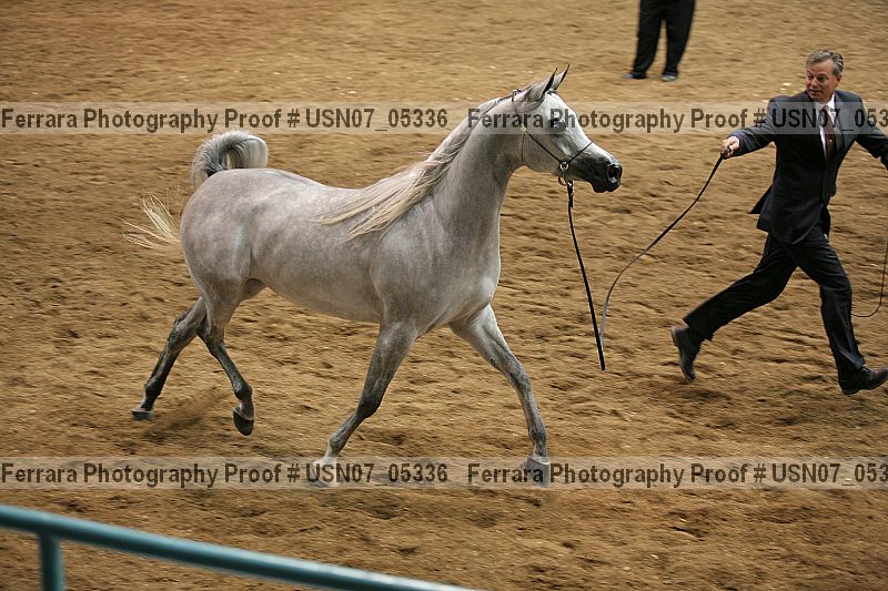 Proof usn07_05336