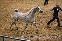 usn07_05336 proof