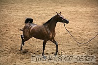 usn07_05337 proof