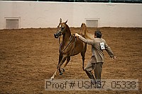 usn07_05338 proof