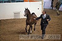 usn07_05339 proof