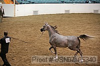 usn07_05340 proof