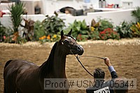 usn07_05344 proof