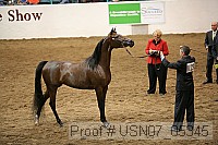 usn07_05345 proof