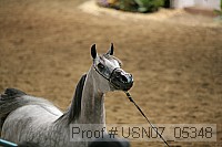 usn07_05348 proof