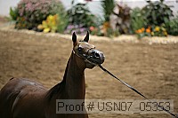 usn07_05353 proof