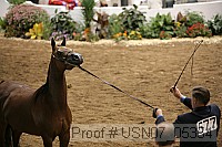 usn07_05354 proof