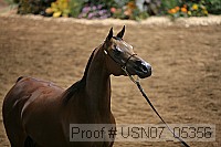 usn07_05356 proof