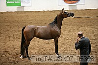 usn07_05358 proof