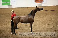 usn07_05359 proof