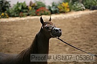 usn07_05360 proof
