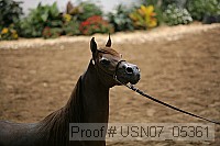 usn07_05361 proof
