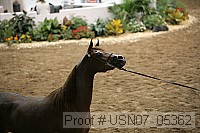 usn07_05362 proof