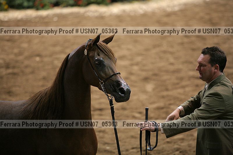 Proof usn07_05363