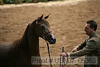 usn07_05363 proof