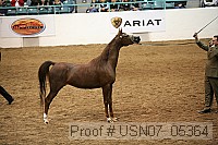 usn07_05364 proof