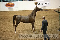 usn07_05365 proof