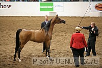 usn07_05370 proof