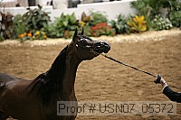 usn07_05372 proof