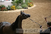 usn07_05373 proof