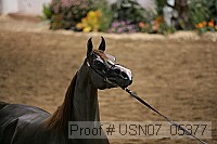 usn07_05377 proof
