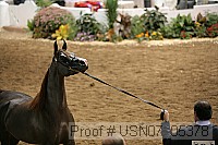 usn07_05378 proof